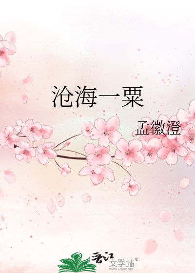 《沧海一粟》