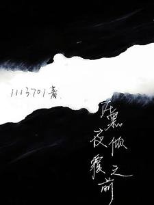 《在黑夜倾覆之前》