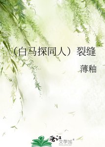《(白马探同人)裂缝》