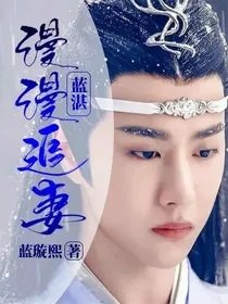 《(陈情令同人)蓝湛:漫漫追妻》