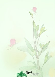 《宠物情缘GL》