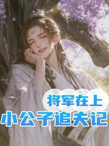 《将军在上,小公子追夫记》