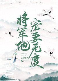 《将军他宠妻无度》