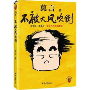 《不被大风吹倒(出书版)》