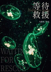 《等待救援》