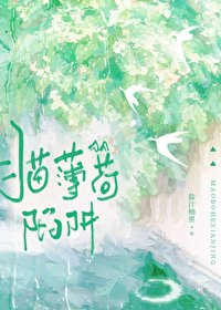《猫薄荷陷阱》