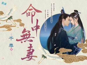 《命中无妻》