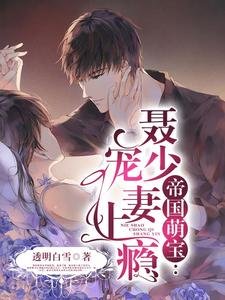 《帝国萌宝,聂少宠妻上瘾》