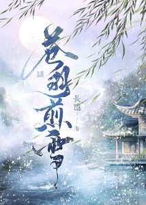 《苍羽煎雪》