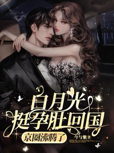《白月光挺孕肚回国,京圈沸腾了/难抵他撩》