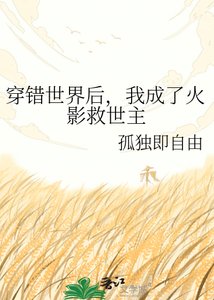 《穿错世界后,我成了火影救世主》