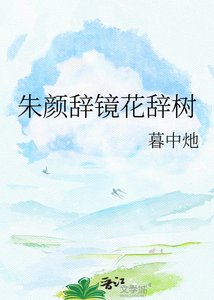 《朱颜辞镜花辞树》
