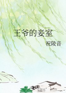 《王爷的妾室》