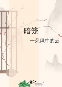 《暗笼》