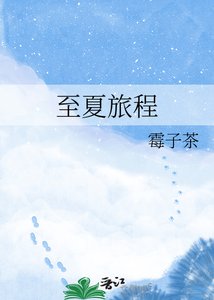 《至夏旅程》
