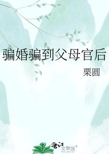 《骗婚骗到父母官后》
