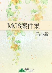 《MGS案件集》