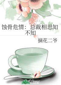 《蚀骨危情:总裁相思知不知》