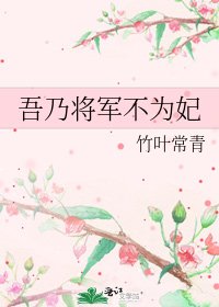 《吾乃将军不为妃》