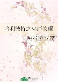 《哈利波特之巫师荣耀》