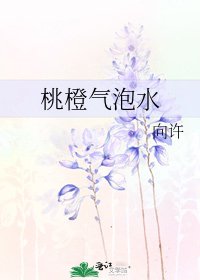 《桃橙气泡水》