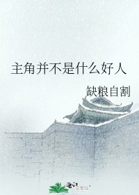 《主角并不是什么好人》
