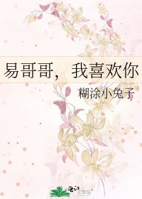 《易哥哥,我喜欢你》