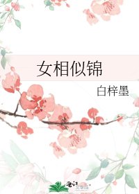 《女相似锦》