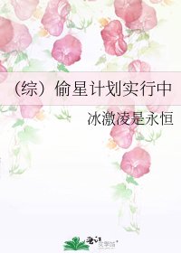 （综）偷星计划实行中