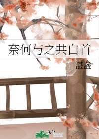 《奈何与之共白首》
