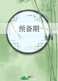 预备期