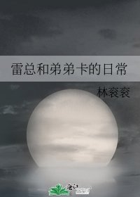 《雷总和弟弟卡的日常》