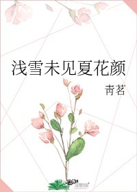 《浅雪未见夏花颜》