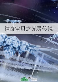《神奇宝贝之光灵传说》
