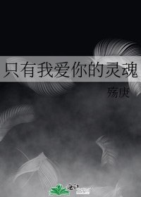《只有我爱你的灵魂》