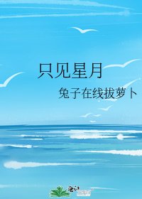 《只见星月》
