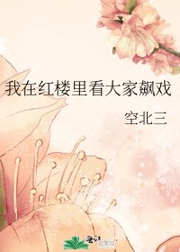 《我在红楼里看大家飙戏》