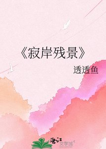 寂岸残景