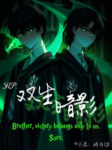 （HP同人）HP：双生暗影