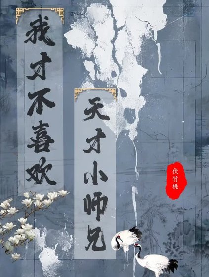 我才不喜欢天才小师兄
