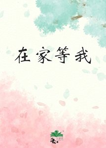 在家等我