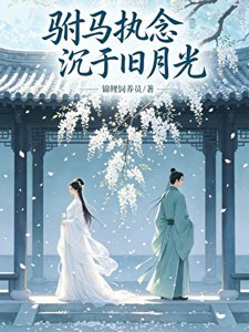 《驸马执念沉于旧月光》