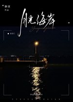 《月光海岸》