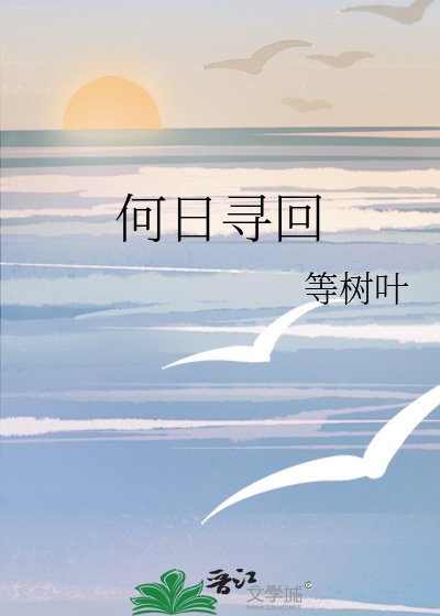 《何日寻回》
