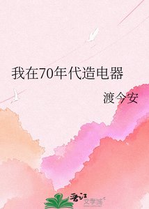 《我在70年代造电器》