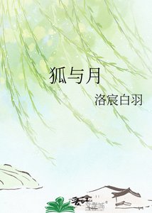 《狐与月》