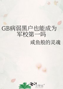 《GB病弱黑户也能成为军校第一吗》