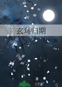 《玄鸟归期》