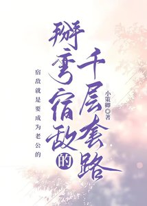 《掰弯宿敌的千层套路》