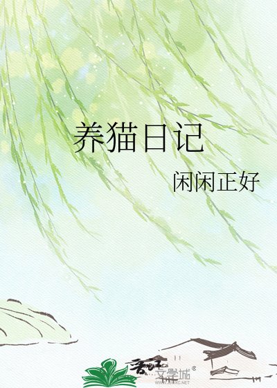 养猫日记